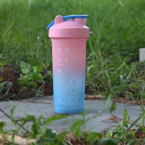 Frosted Gradient 700ml Shaker Bottle- Pink & Blue