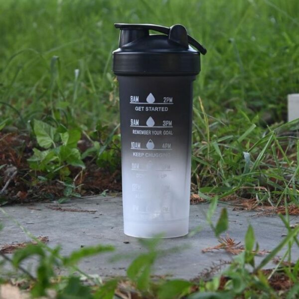 Frosted Gradient 700ml Shaker Bottle- Black & white
